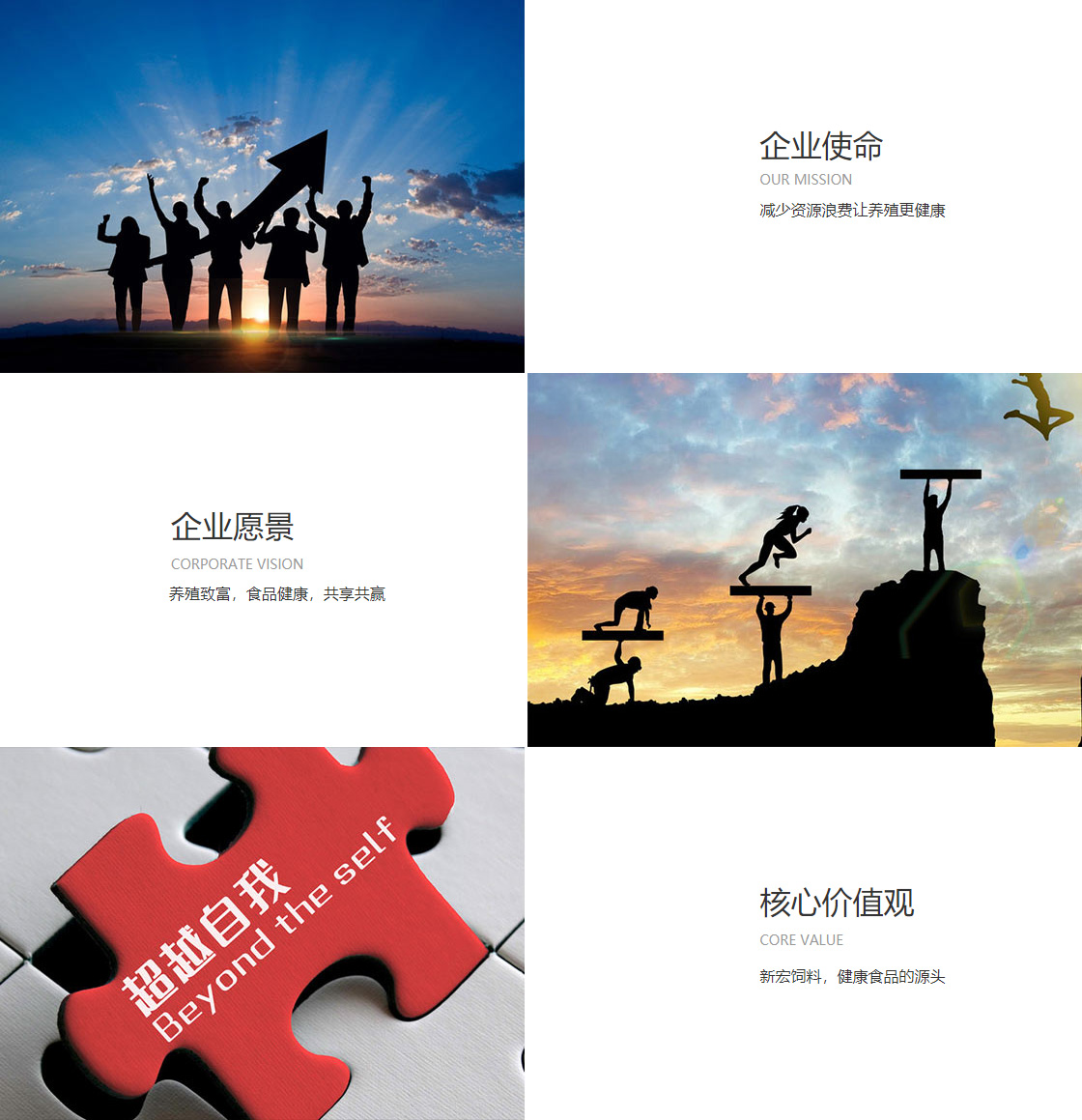 抓饭网球官网入口(图1)